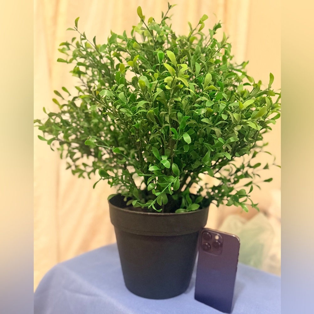 [NWT] New Lush Artificial Potted Plant in Modern Black Pot - Indoor Decor